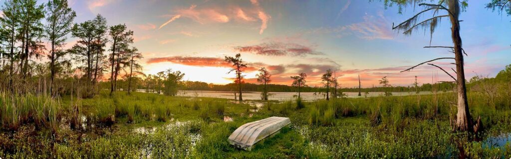 A boat in the grass near some trees